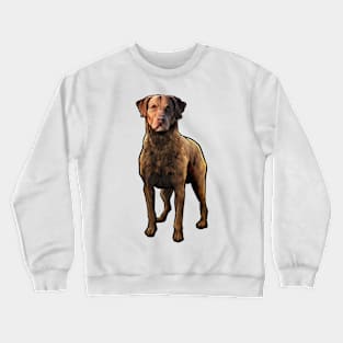 Chesapeake Bay Retriever Dog Crewneck Sweatshirt